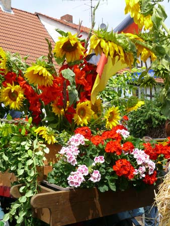 3-Sonntag131